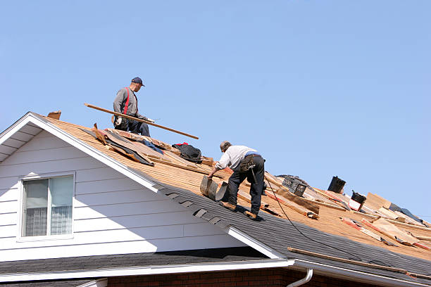 Best Roof Coating and Sealing  in Lynchburg, MS